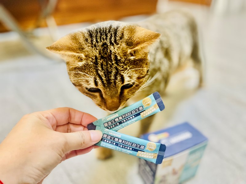 女人知己試用大隊,口碑行銷,部落客行銷,Moegis萌吉 腸道生機專利RBE益生菌,寵物益生菌,專利RBE益生元,專利蔬果酵素,小分子胜肽,藍藻粉,維持免疫力,幫助維持消化道機能,維持正常食慾,改變細菌叢生態,腸胃保健,犬貓適用